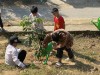 Trường THCS Luân Giói tổ chức "Tết trồng cây đời đời nhớ ơn Bác Hồ"